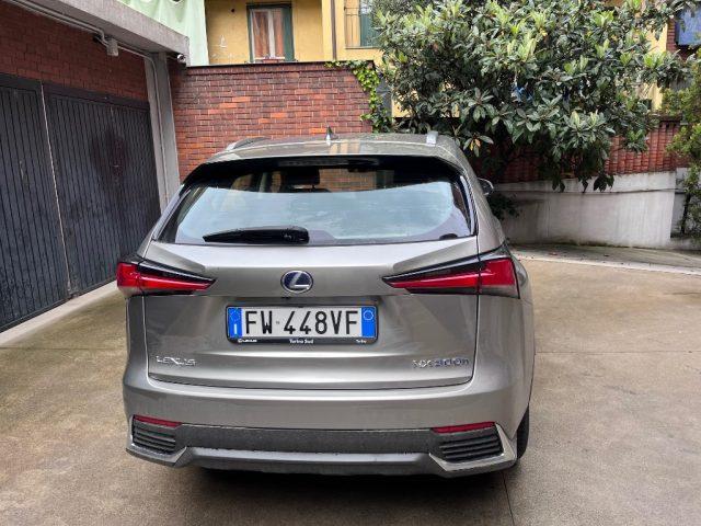 LEXUS NX 300 Hybrid 4WD Executive sempre tagliandata