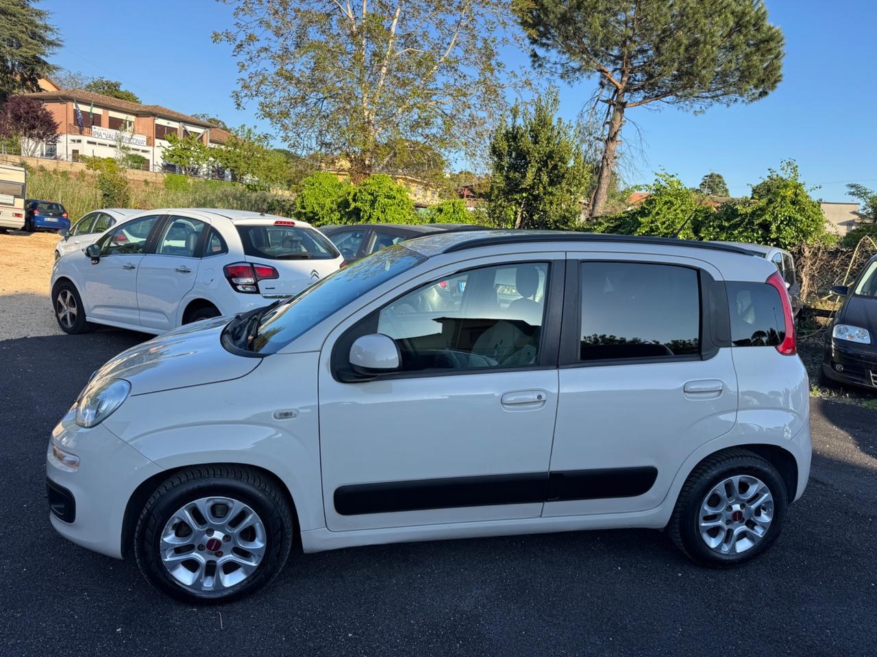 Fiat Panda 1.2 Lounge NEOPATENTATI