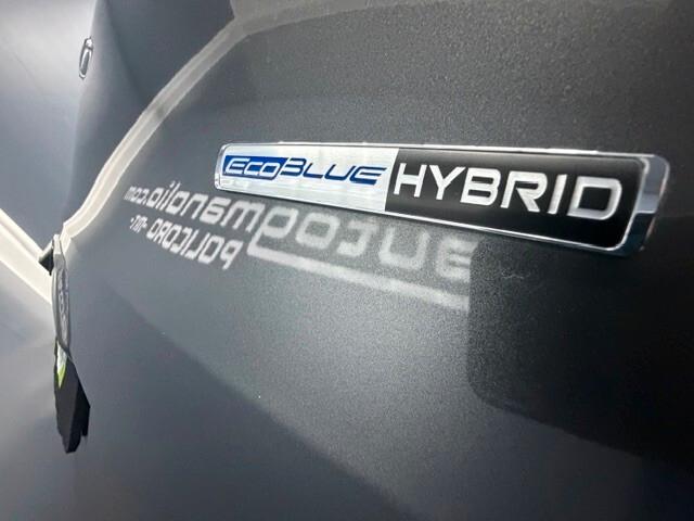 Ford Tourneo Custom 9 posti VIP EDITION 320 2.0 EcoBlue 130CV MHEV PL Tr.