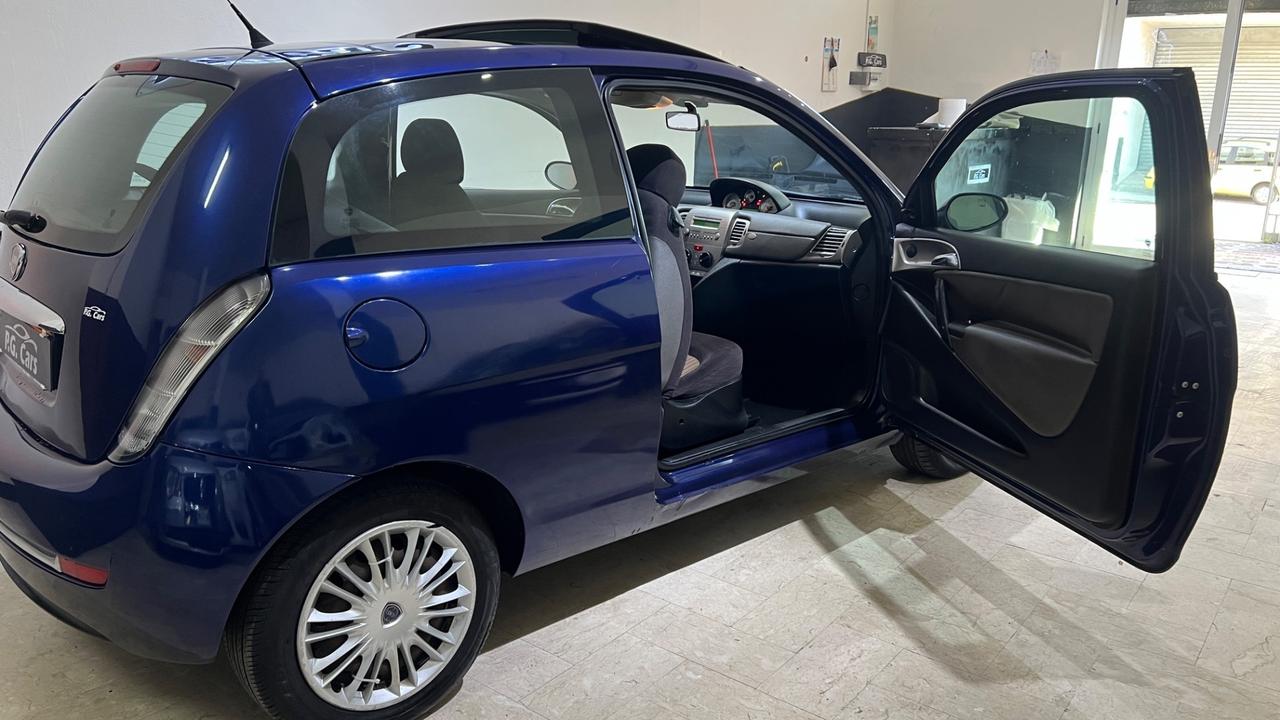 Lancia Ypsilon Platino tetto