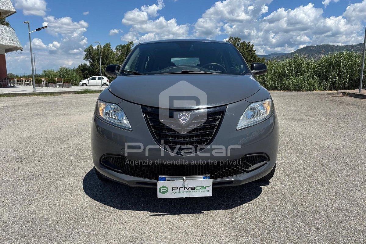 LANCIA Ypsilon 1.3 MJT 16V 95 CV 5 porte S&S Elle