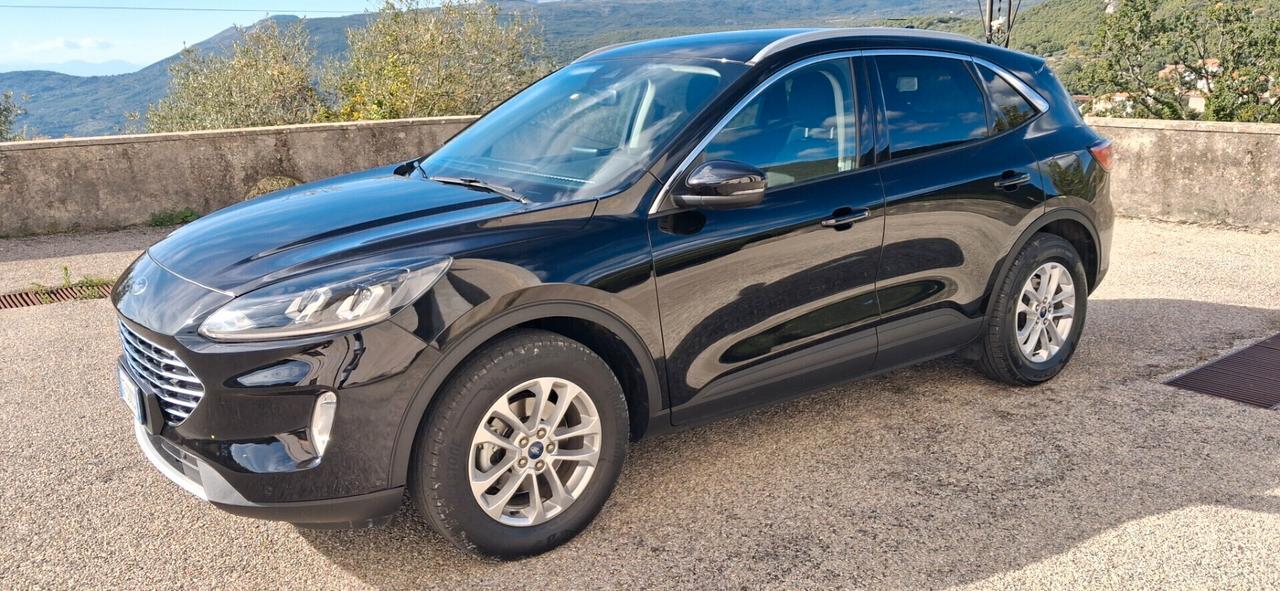 Ford Kuga 1.5 EcoBlue 120 CV 2WD Titanium