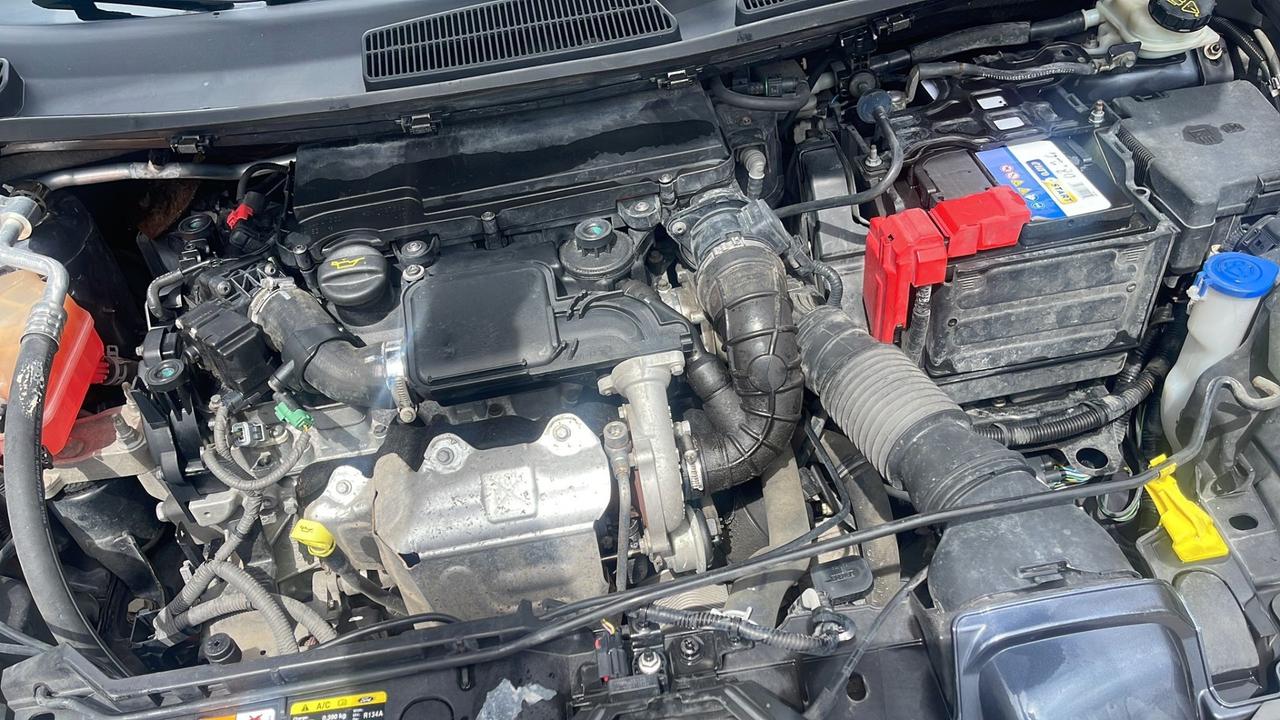 Ford Fiesta 1.4 TDCi / GARANZIA 12 MESI