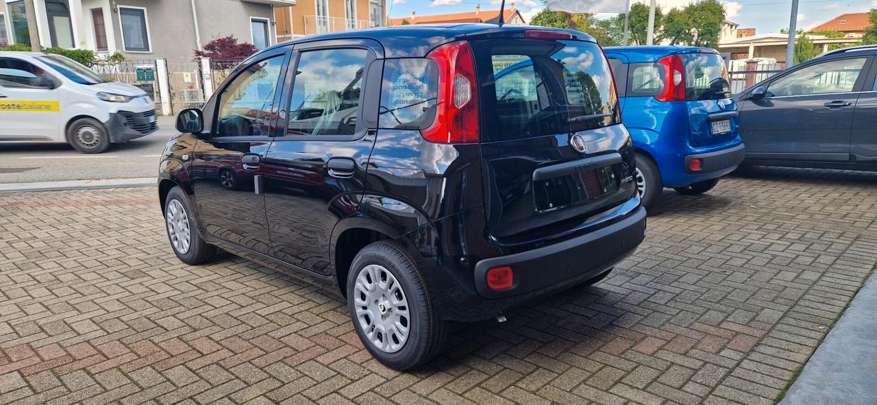 Fiat Panda 1.0 FireFly S&S Hybrid Icon
