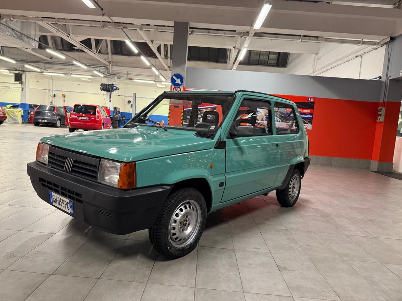 Fiat Panda 900 i.e. cat Young