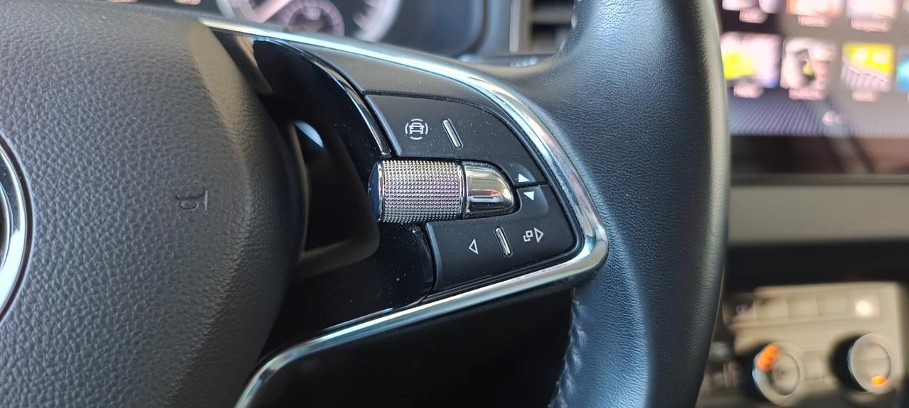 Skoda Karoq 2.0 TDI EVO SCR 115 CV DSG Executive