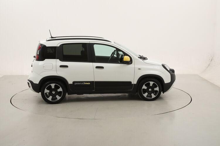 Fiat Panda Hybrid Pandina Cross BR343705 1.0 Mild Hybrid 70CV