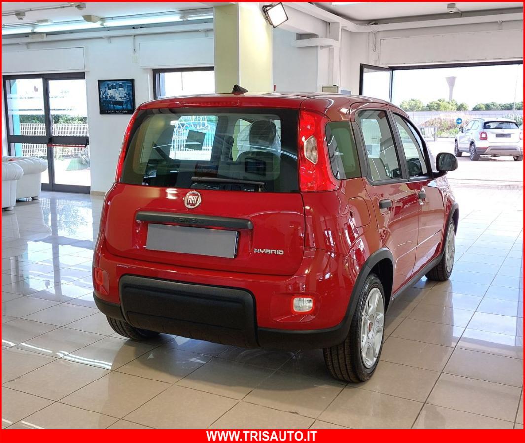 FIAT Panda 1.0 FireFly S&S Hybrid MY24 KM ZERO!!! IVATA NEOPATENTATI