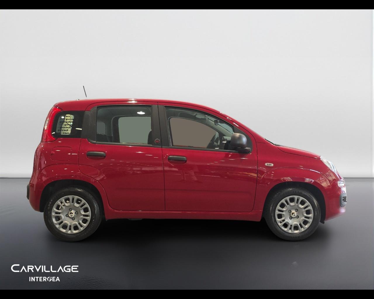 FIAT Pandina 1.0 firefly hybrid Icon s&s 65cv
