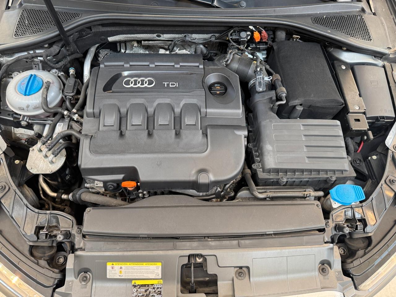 Audi A3 3P 1.6 TDI 105 CV YOUNG