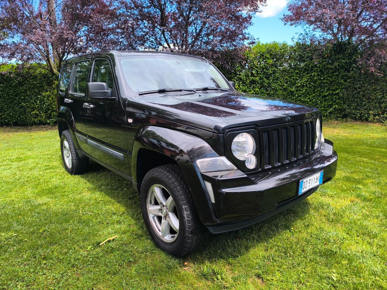 Jeep Cherokee 2.8 CRD DPF Limited Gancio Traino