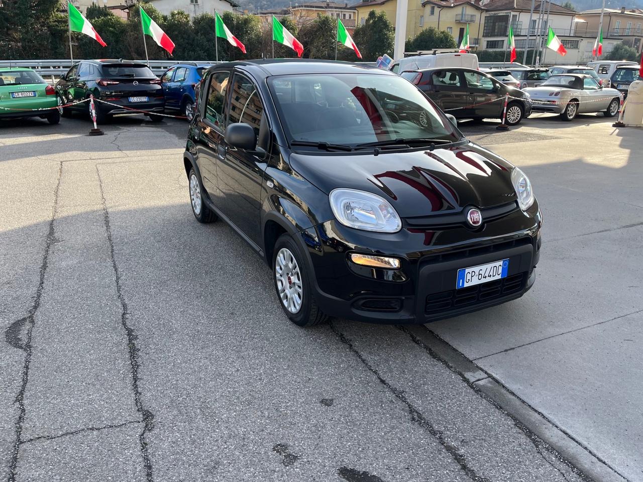 FIAT PANDA - NEOPATENTATI