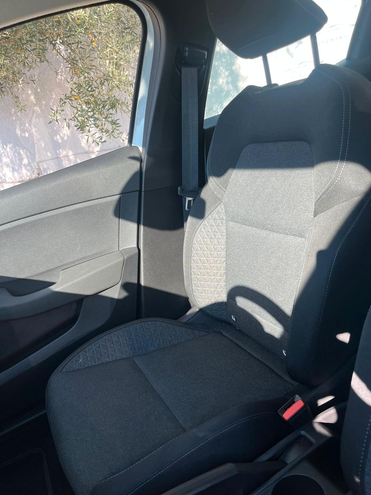 Renault Clio Blue dCi 100 CV 5 porte Business