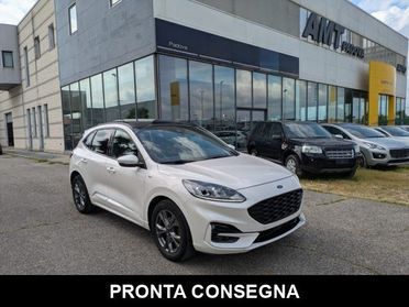 FORD Kuga 1.5 EcoBlue 120 CV aut. 2WD ST-Line