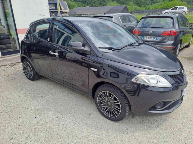 LANCIA Ypsilon 1.2 69 CV 5 porte GPL Ecochic Elefantino