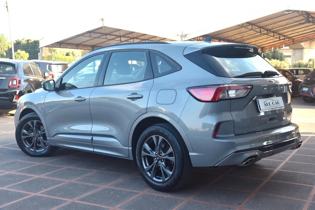 Ford Kuga 2.0 EcoBlue Hybrid 150 CV 2WD ST-Line