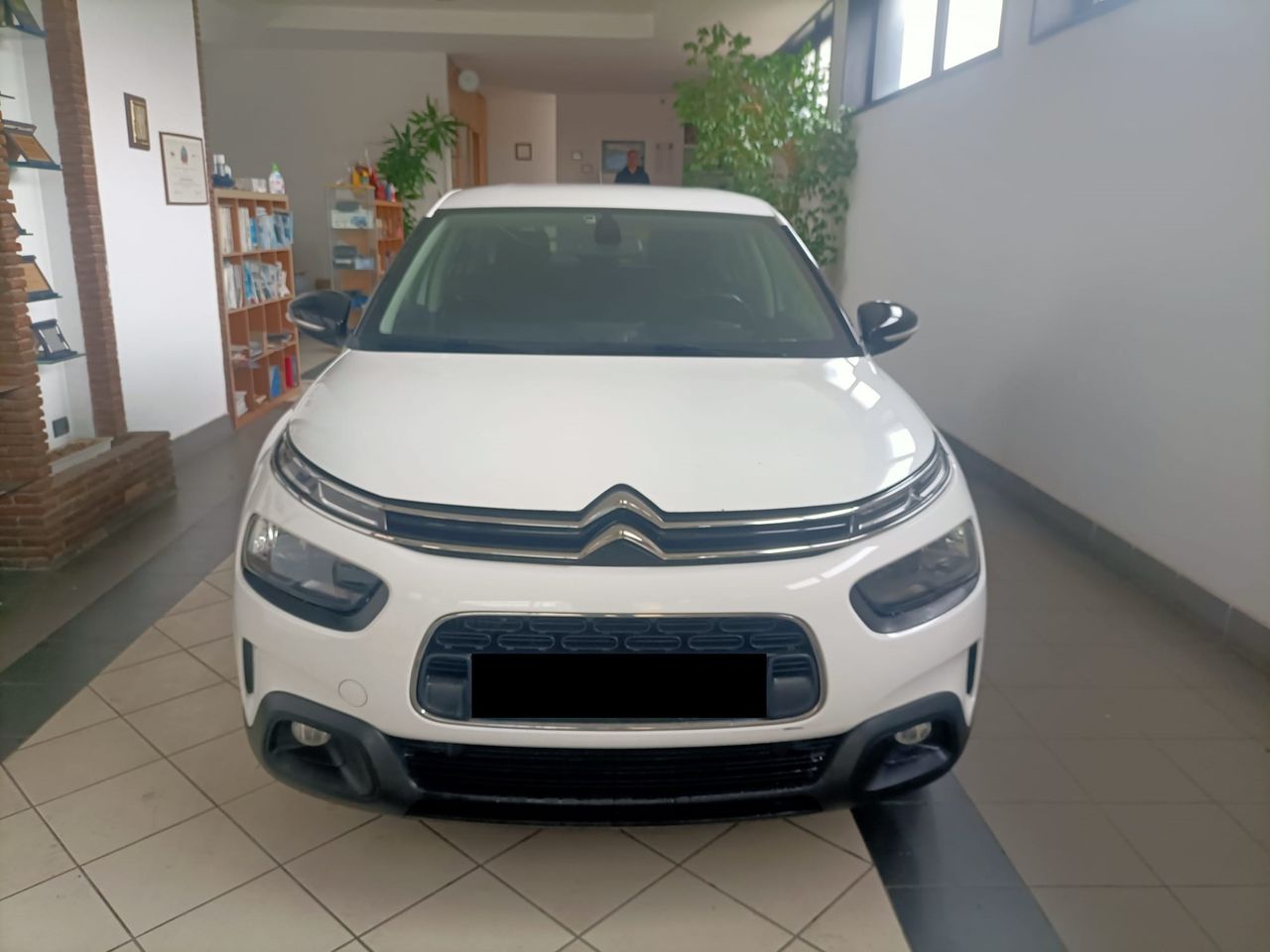 Citroen C4 Cactus BlueHDi 120 S&S EAT6 Shine AUTOMATICA