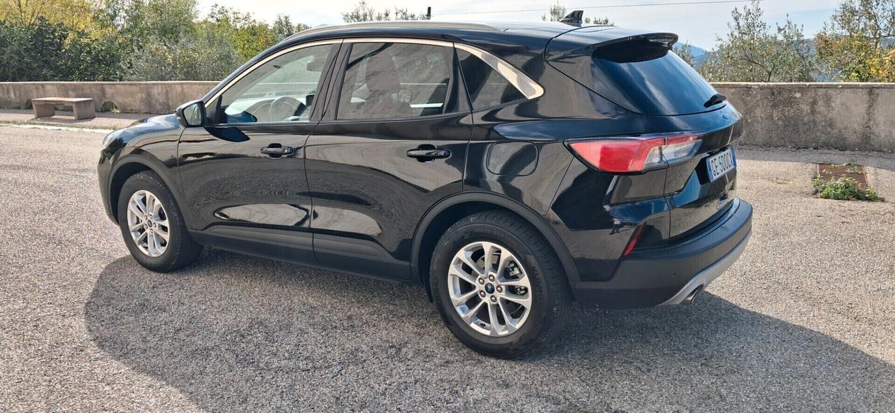 Ford Kuga 1.5 EcoBlue 120 CV 2WD Titanium