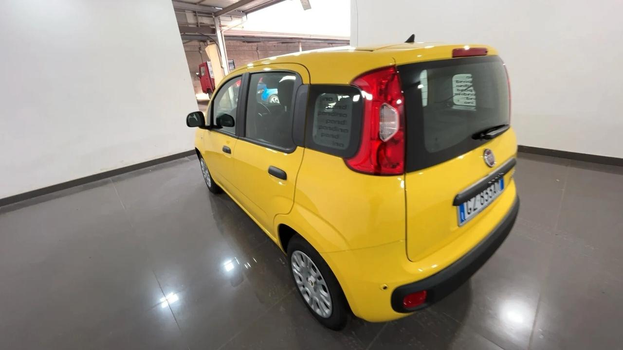 Fiat Panda 1.0 FireFly S&S Hybrid Pandina KM0