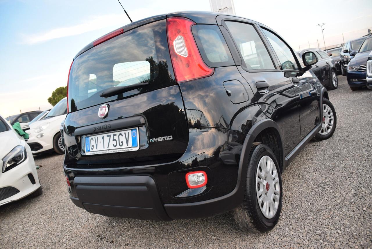Fiat Panda 1.0 FireFly Hybrid CLIMA BT OK NEOPATENTATI IVA DETR.