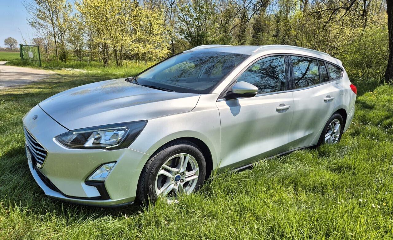 Ford Focus 1.5 EcoBlue 120 CV automatico SW Business 2021