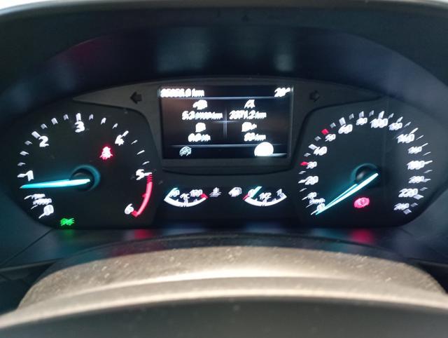 FORD Focus 1.5 EcoBlue 95 CV 5p. Plus