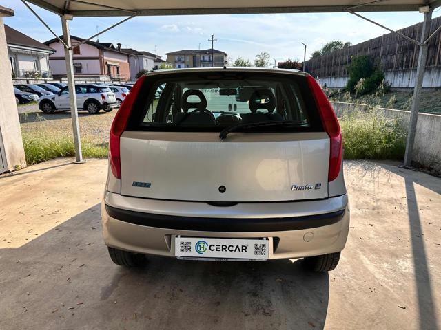 FIAT Punto 1.2i cat 5 porte EL OK NEOPATENTATI BENZINA