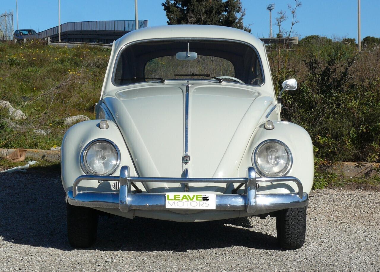 Volkswagen Maggiolino VETRO PIATTO (M1260)