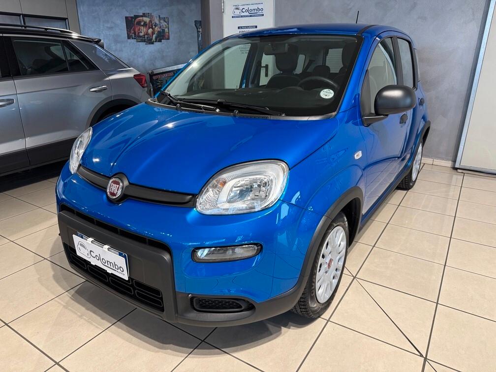 Fiat Panda 1.0 firefly hybrid Life Radio 5p. Neopat