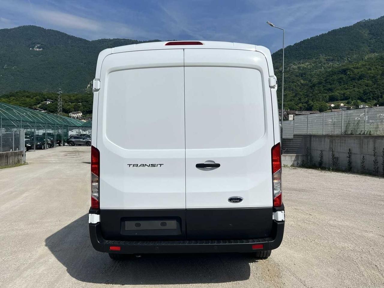 Ford Transit 2.0 TDCi EcoBlue 130CV Furgone #50698
