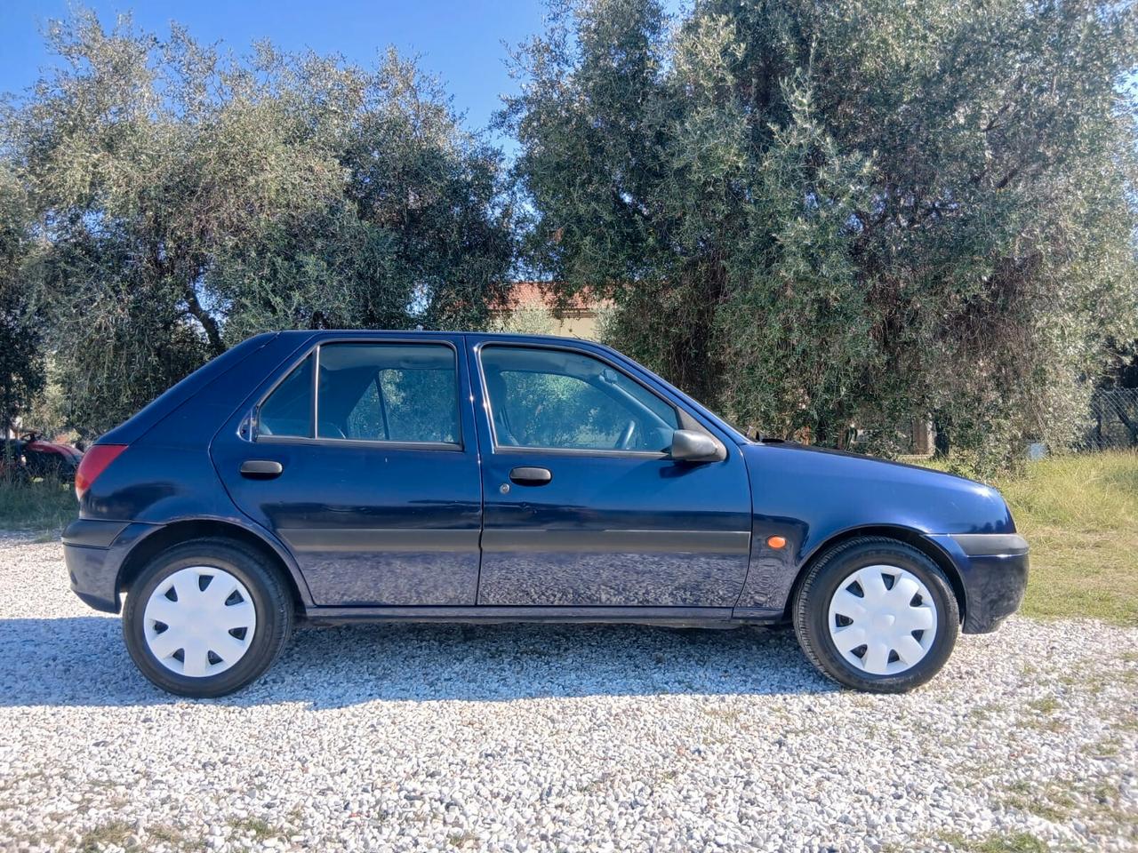 Ford Fiesta 1.2i 16V cat 5 porte Ambiente