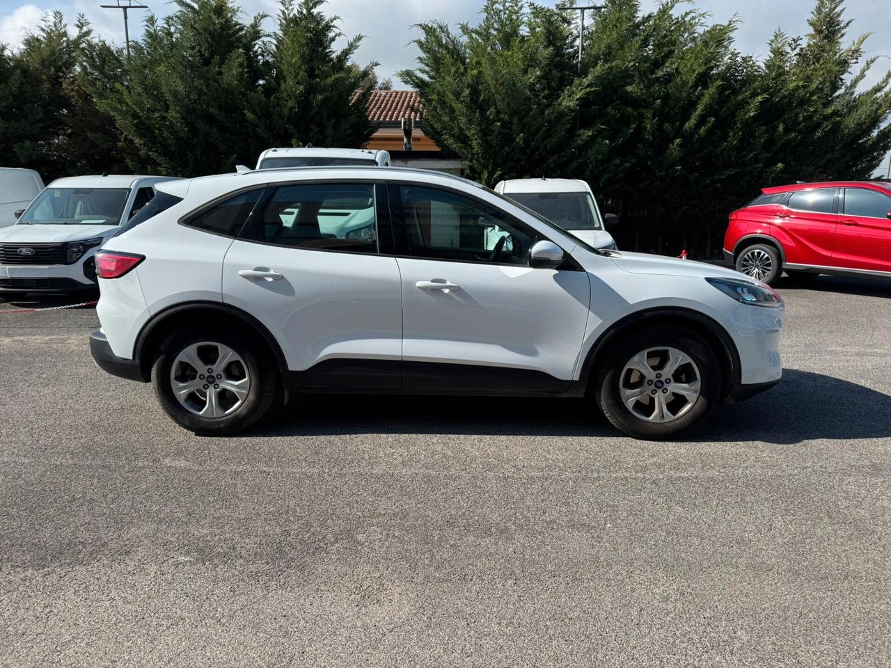 Ford Kuga 1.5 EcoBlue 120 CV 2WD Connect