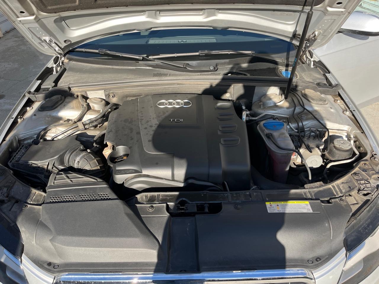 Audi A4 Avant 2.0 TDI 170CV F.AP. quattro