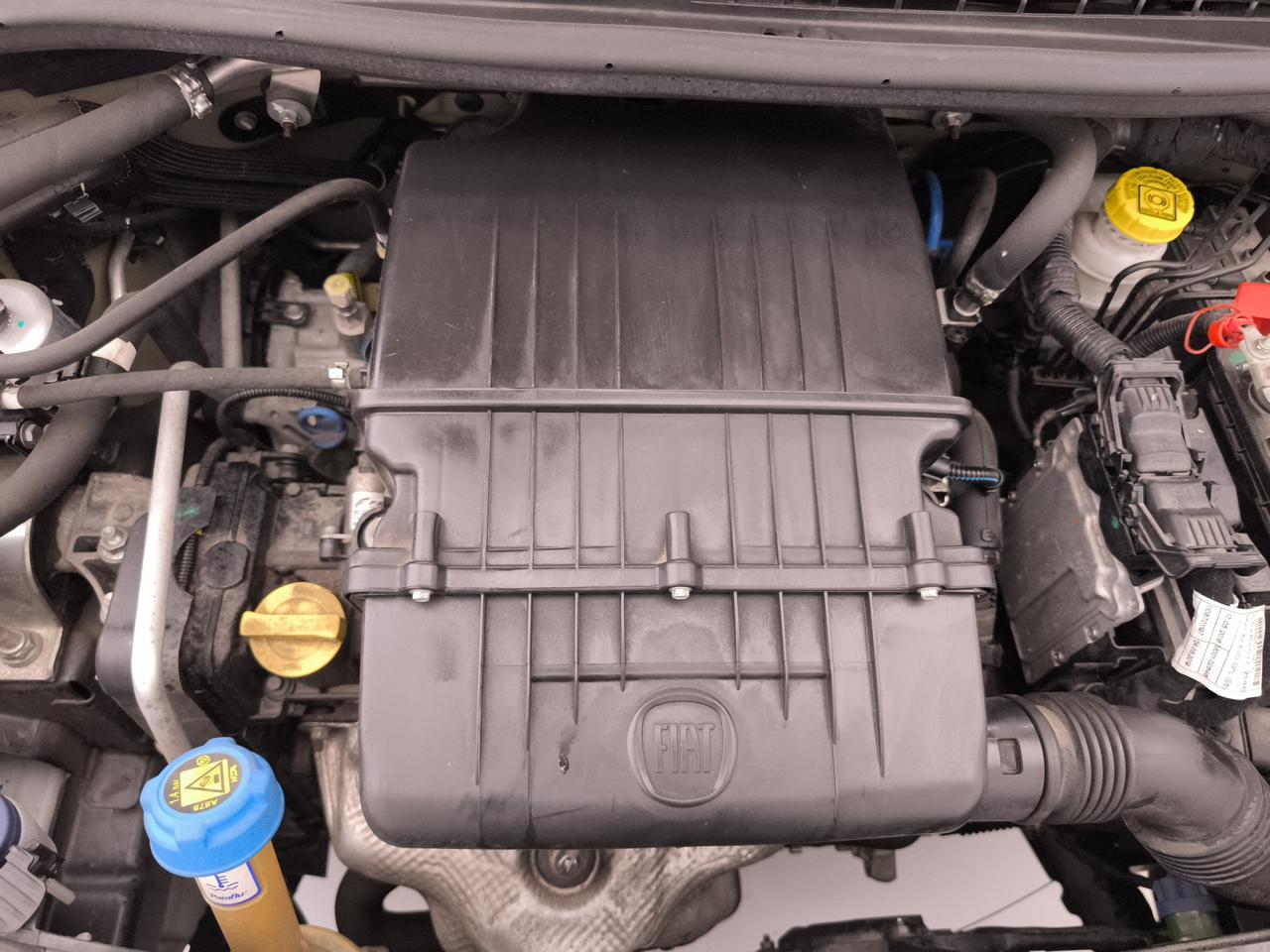 FIAT Panda III 2016 - Panda 1.2 Lounge easypower Gpl 69cv my19