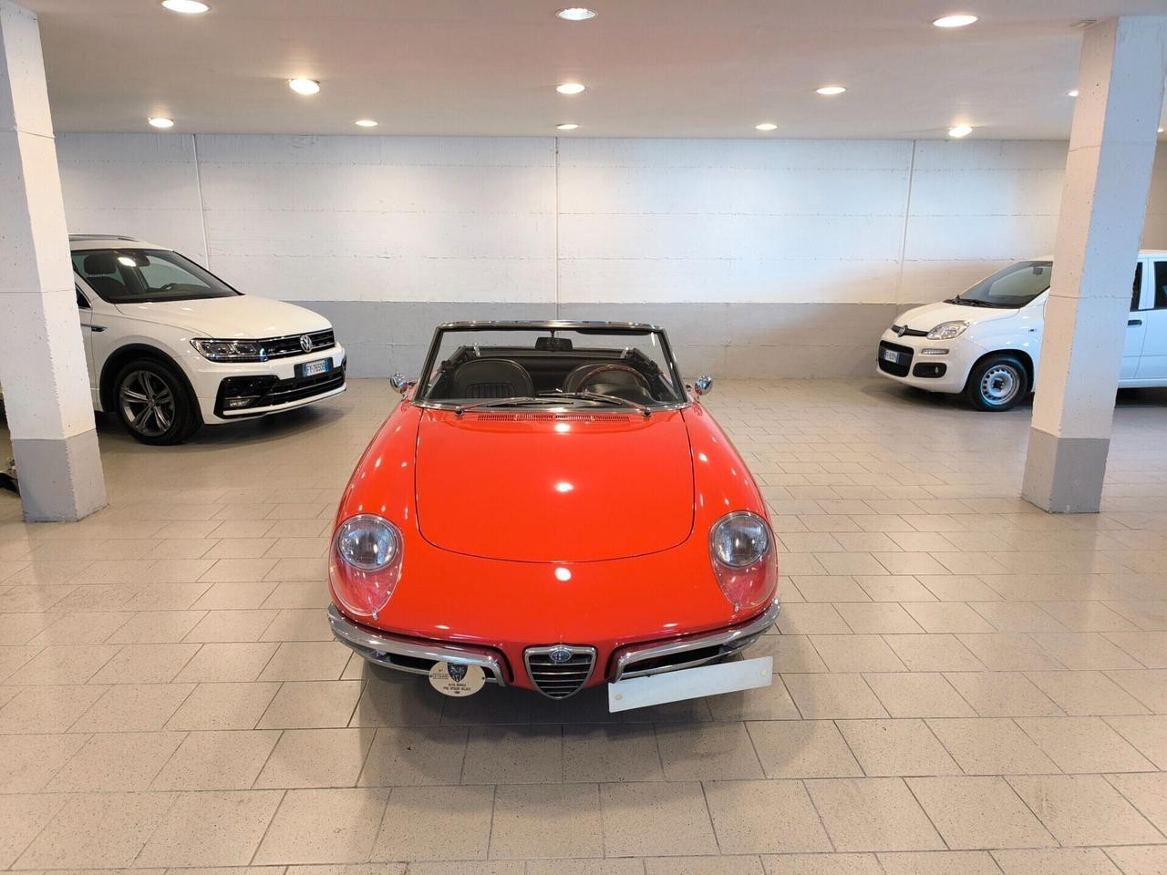Alfa Romeo Spider
