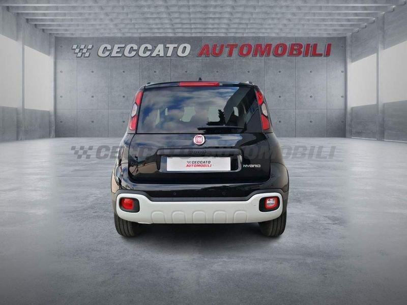 FIAT Panda Panda My25 1.0 70cv Hybrid Pandina