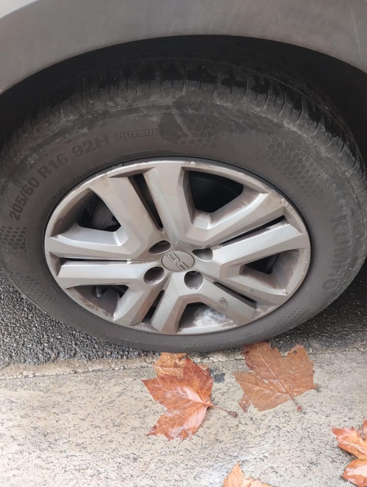 Dacia Jogger 1.0 TCe GPL 100 CV 7 posti Extreme Up