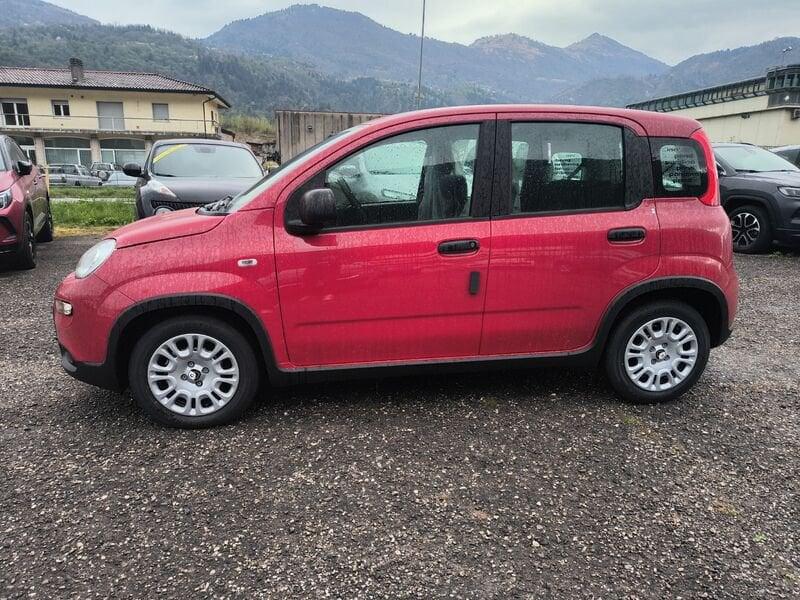 FIAT Panda 1.0 FireFly 70cv S&S Hybrid