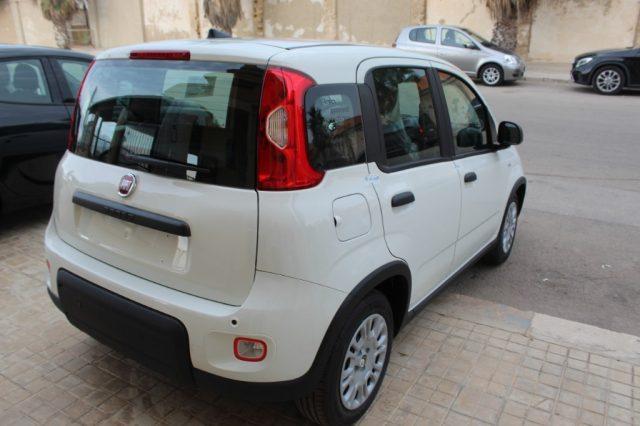 FIAT Panda 1.0 FireFly S&S Hybrid Pandina-km0