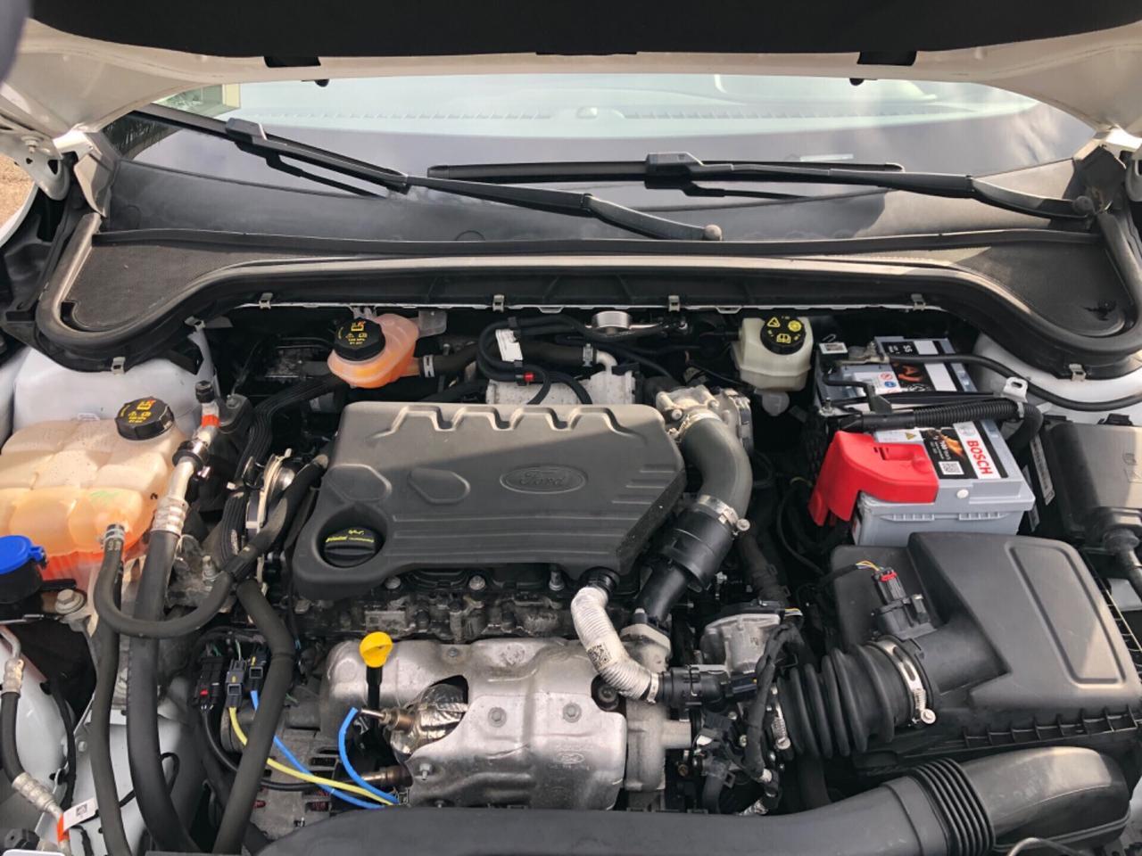 Ford Focus 1.5 EcoBlue 95 CV SW SUPER PREZZO