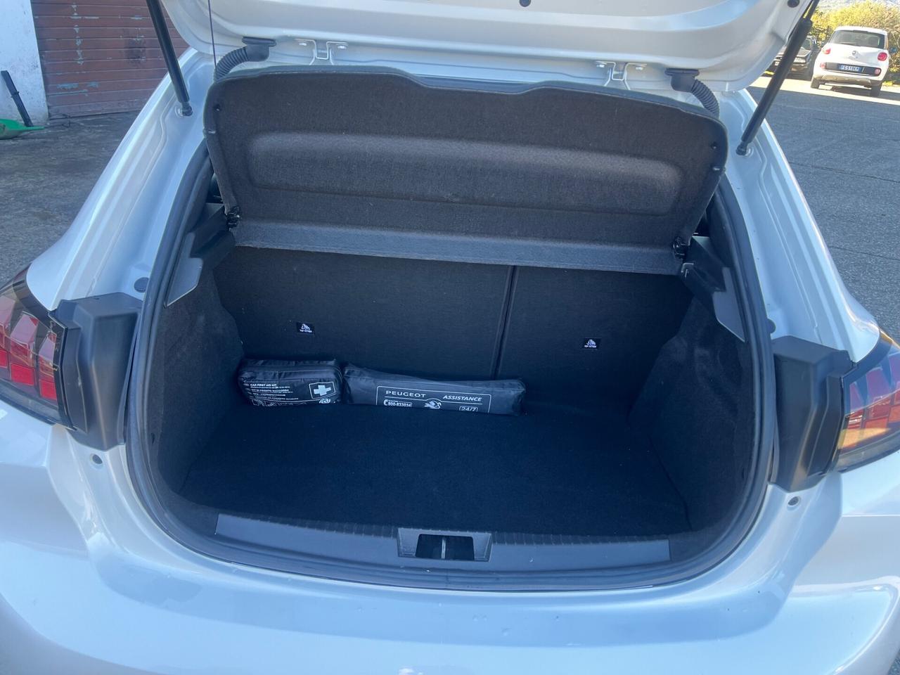 Peugeot 208 BlueHDi 100 Stop&Start 5 porte Active Pack
