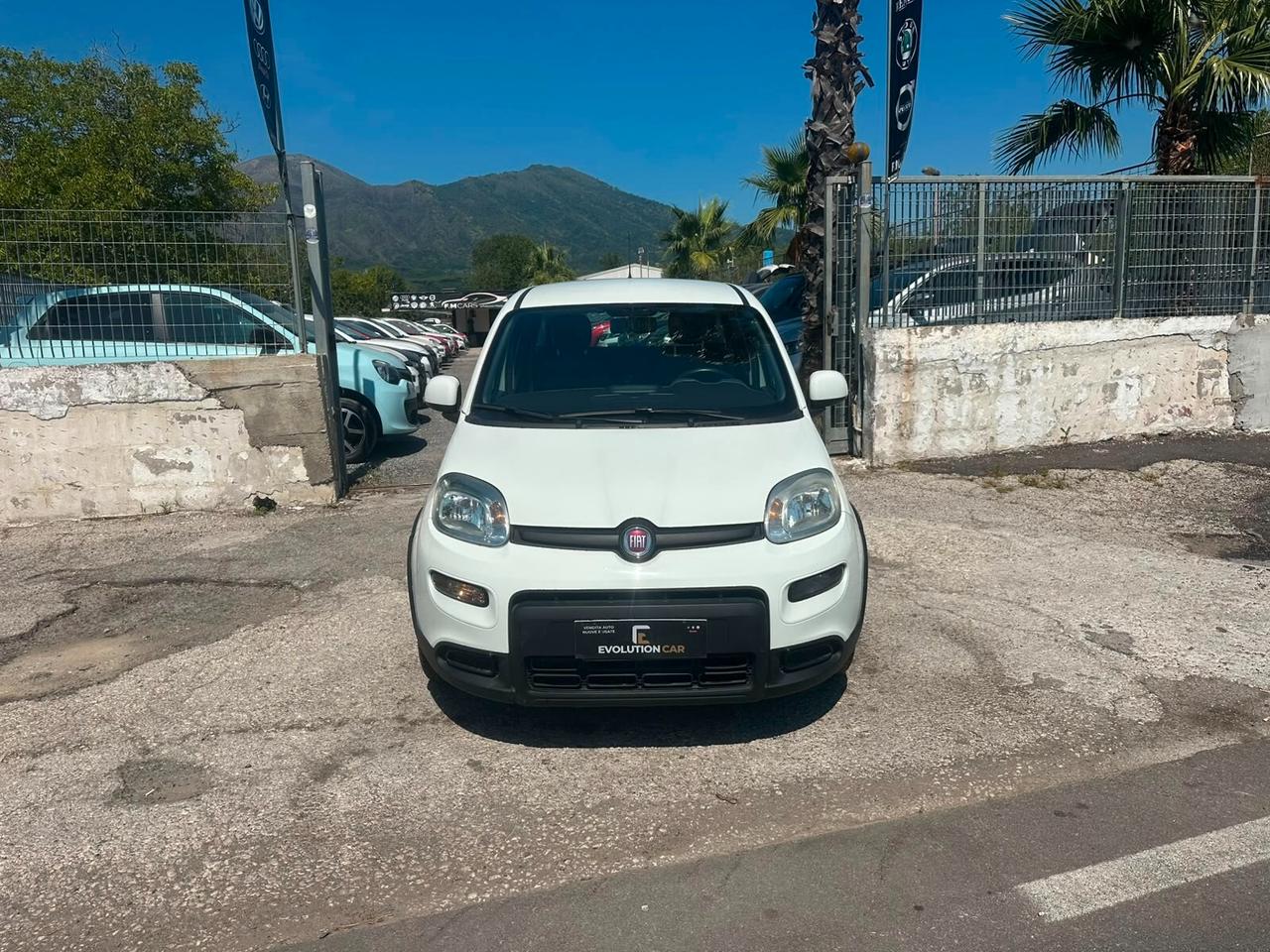 Fiat Panda 1.0 FireFly S&S Hybrid 2024