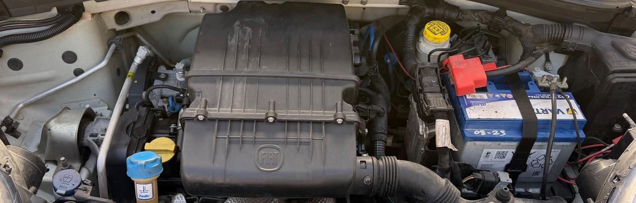 Fiat Panda 1.2 Benzina 70 Cv