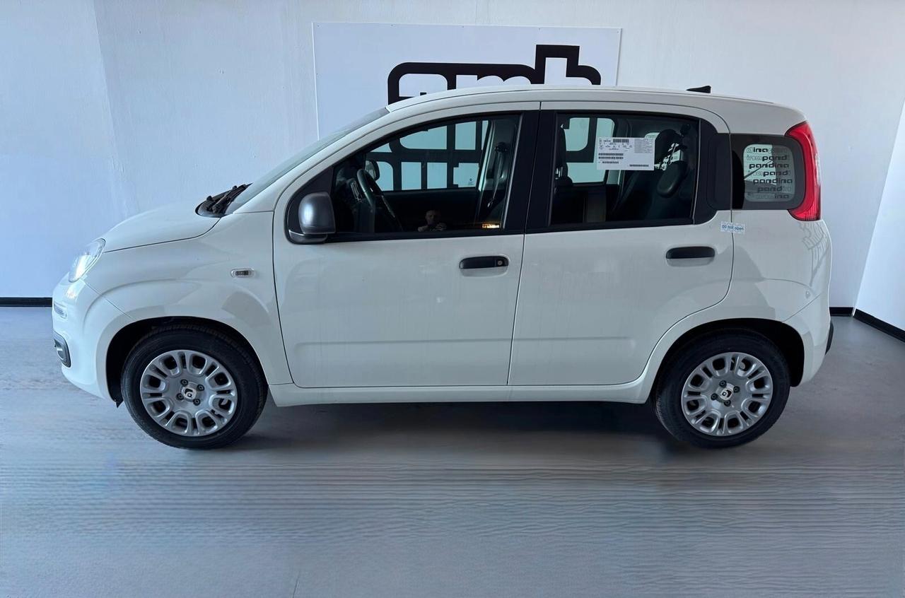 Fiat Panda KM0!! 1.0 Hybrid Icon