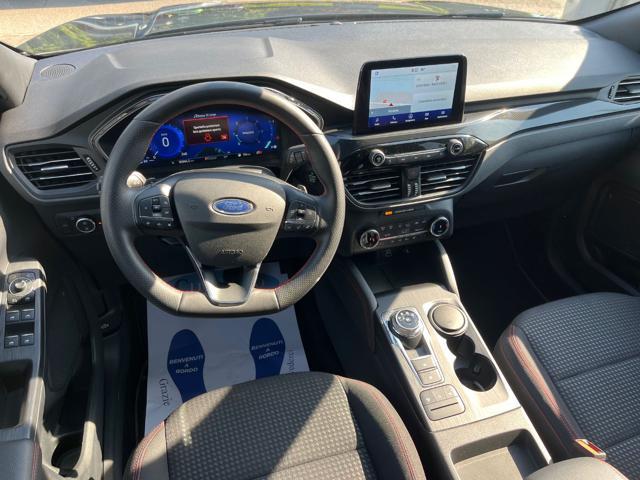 FORD Kuga 2.0 EcoBlue 120 CV aut. ST-Line