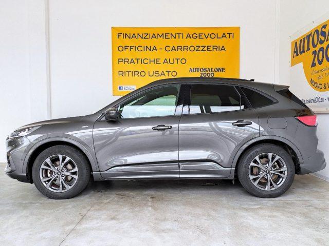 FORD Kuga 1.5 EcoBoost 150 CV 2WD ST-Line PROMO