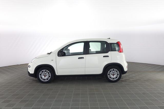 FIAT Panda Panda 1.0 FireFly S&S Hybrid