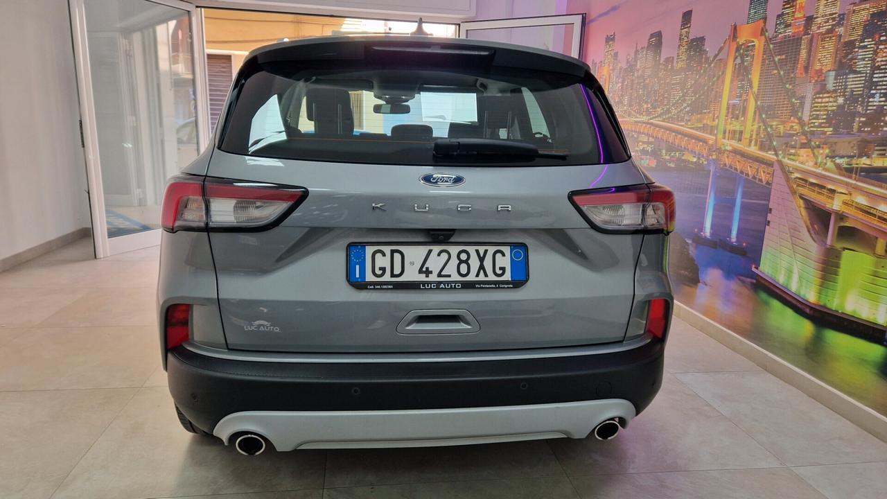 Ford Kuga 1.5 EcoBlue 120 CV aut. 2WD Titanium Business