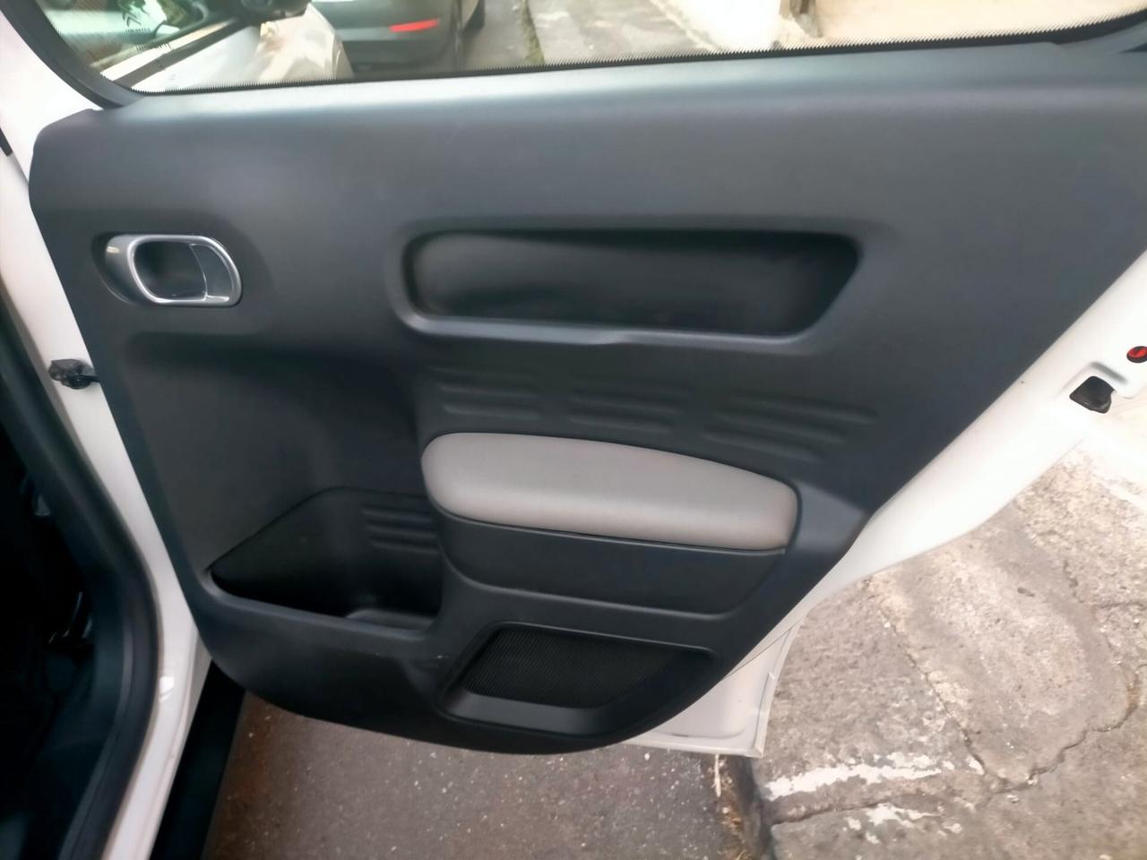 Citroen C4 Cactus BlueHDi 100 S&S Shine