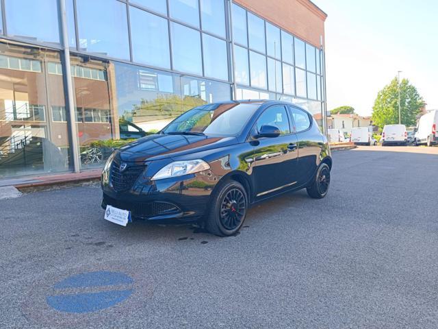 LANCIA Ypsilon 1.2 69 CV 5 porte Elefantino